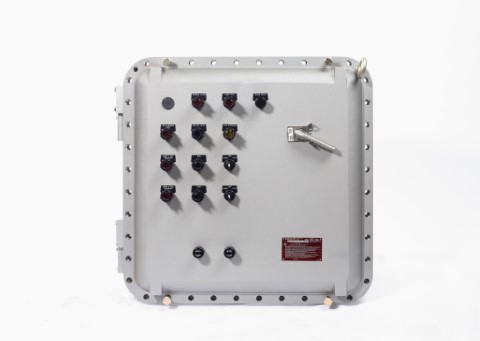 13. Flameproof Control Enclosures XCEX Series