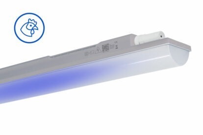 39. CONCEPT BLUE (3)