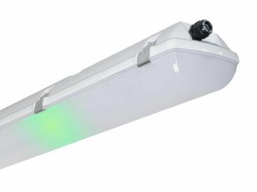81. PRIMA LED Ex NM (2)